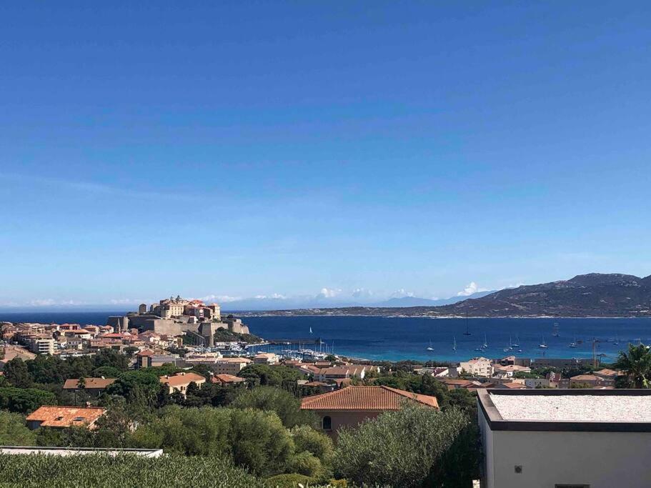 Exceptionnelle Vue Mer Calvi - Piscine - T2 外观 照片