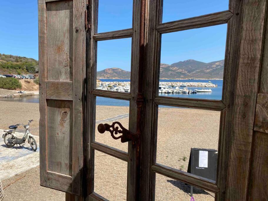 Exceptionnelle Vue Mer Calvi - Piscine - T2 外观 照片