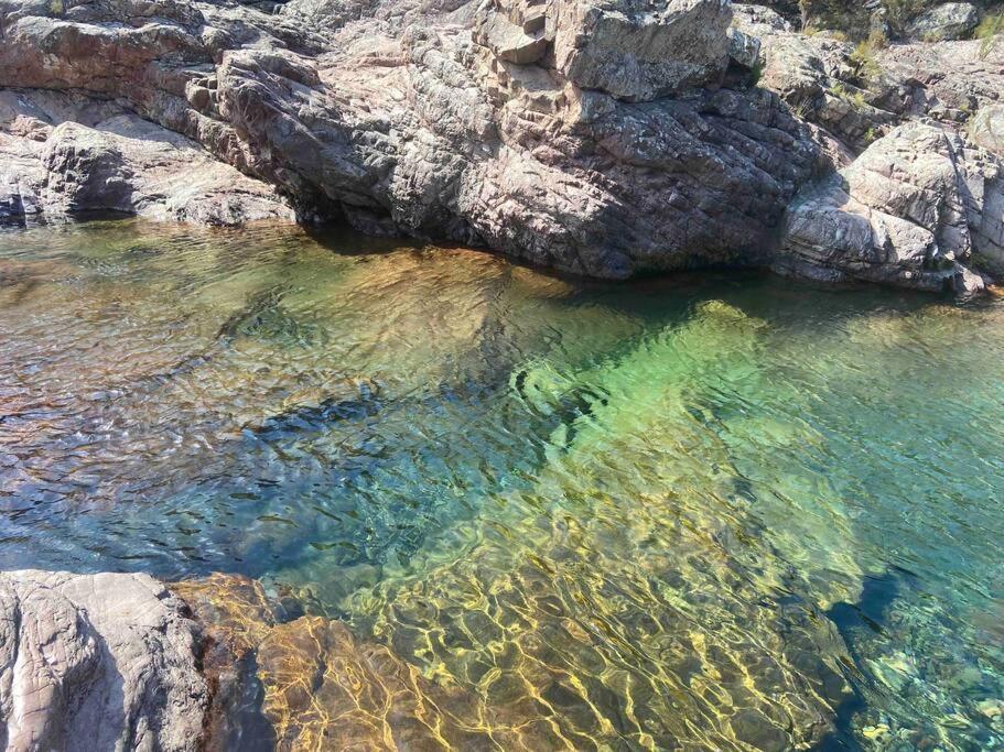Exceptionnelle Vue Mer Calvi - Piscine - T2 外观 照片