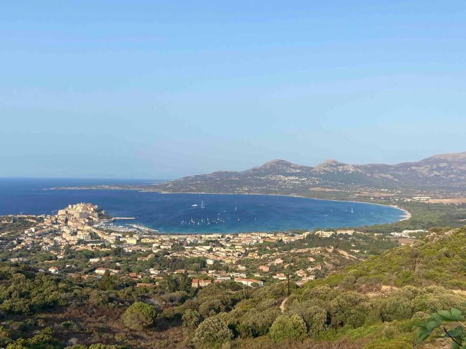Exceptionnelle Vue Mer Calvi - Piscine - T2 外观 照片
