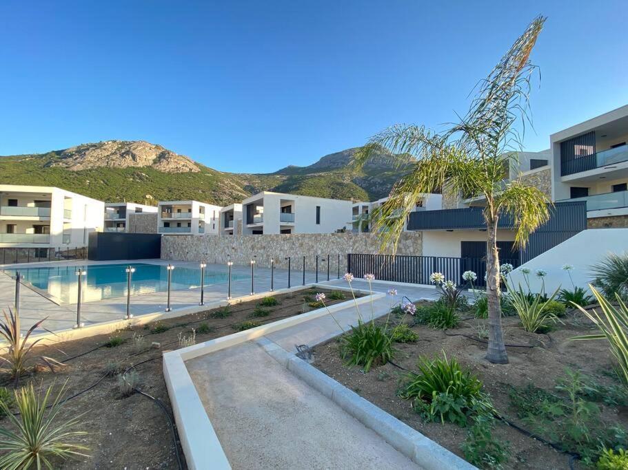 Exceptionnelle Vue Mer Calvi - Piscine - T2 外观 照片