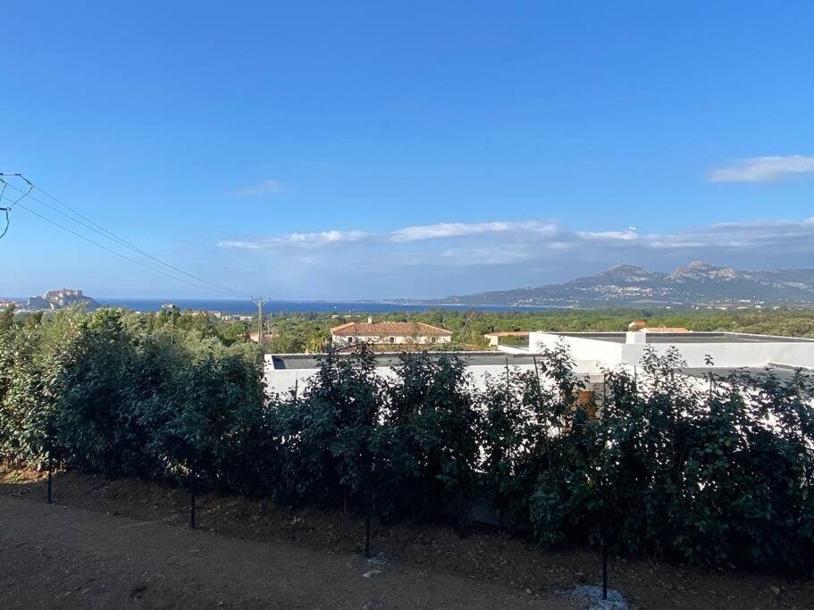 Exceptionnelle Vue Mer Calvi - Piscine - T2 外观 照片